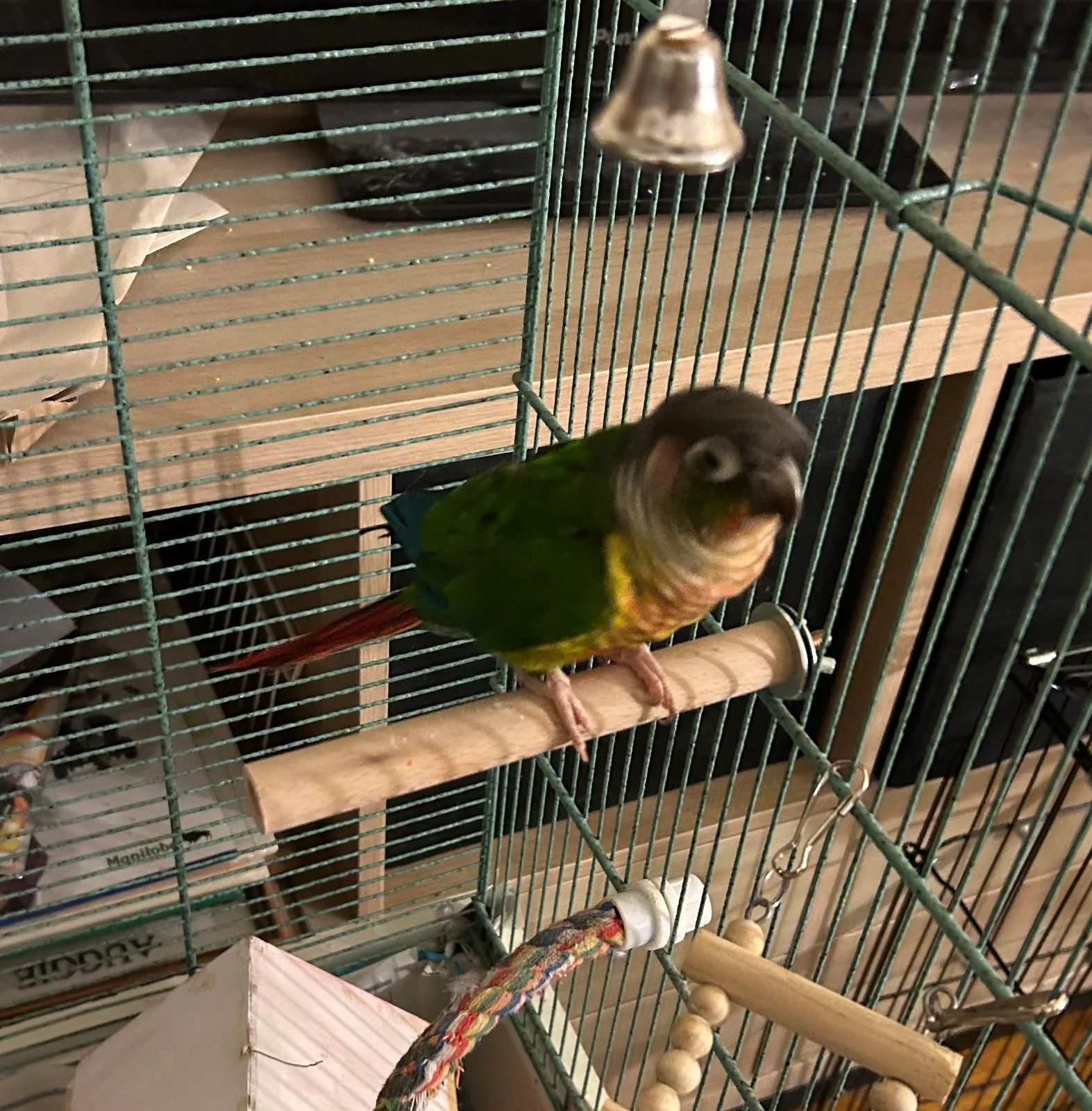 Quasar_Nov 8 2025_3.webp