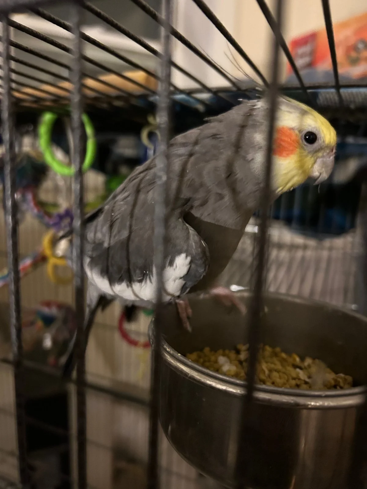 Redshift Good_Nov 8 2025.webp