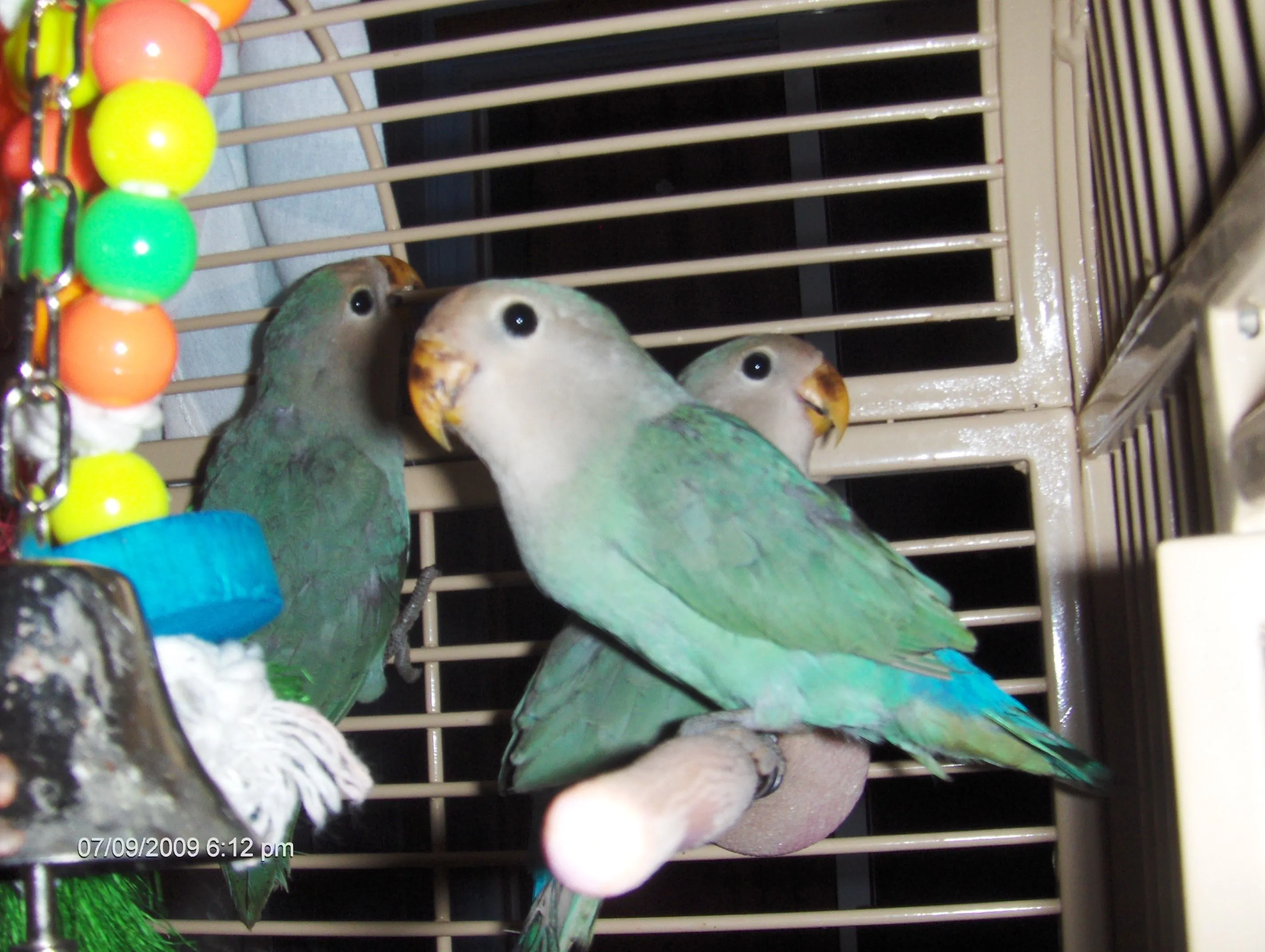 Rio &amp; Marios Babys