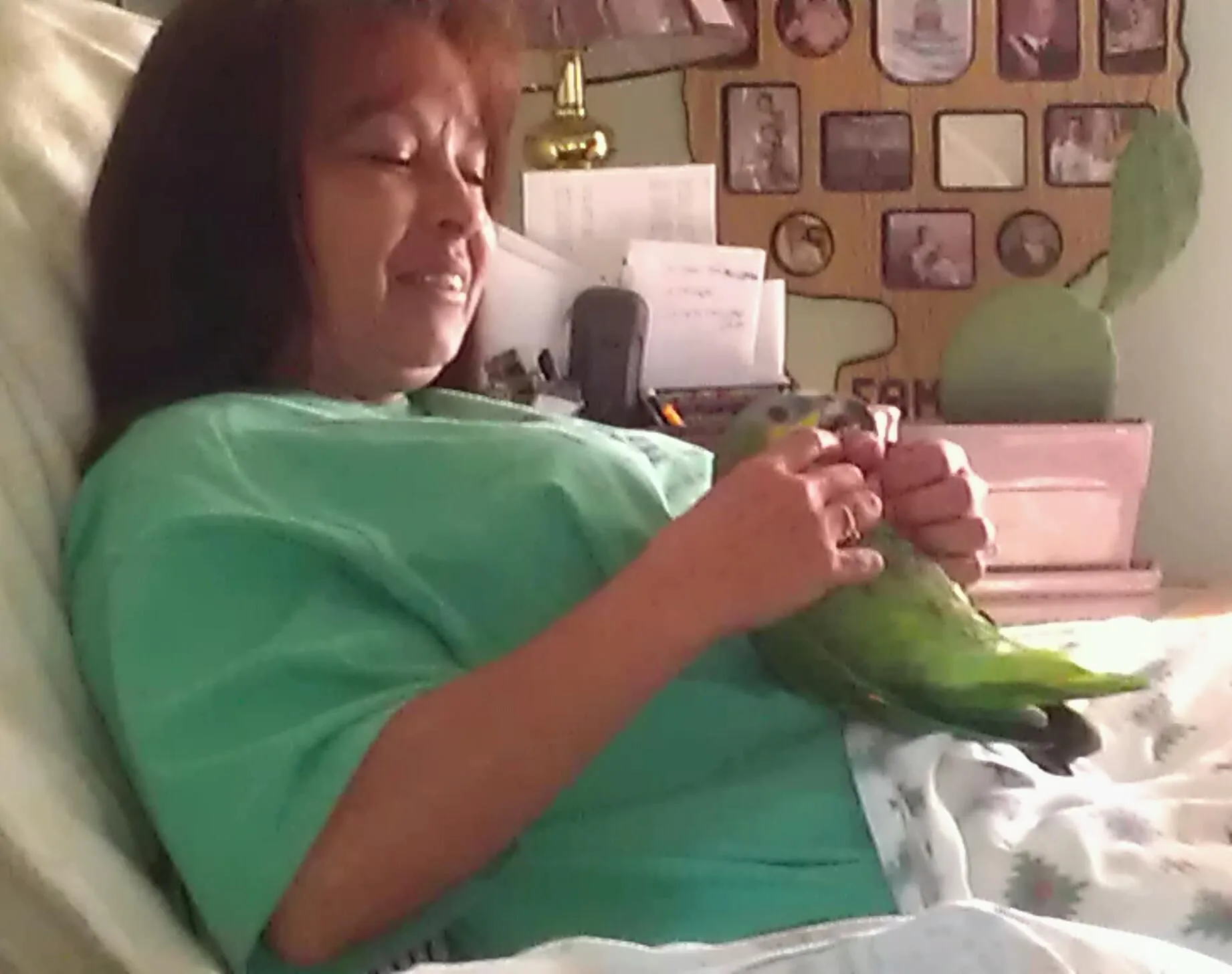 Rockin Nite Nite Lol