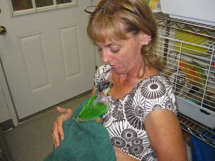 Say Mommy, Where Are Your Feathers?!