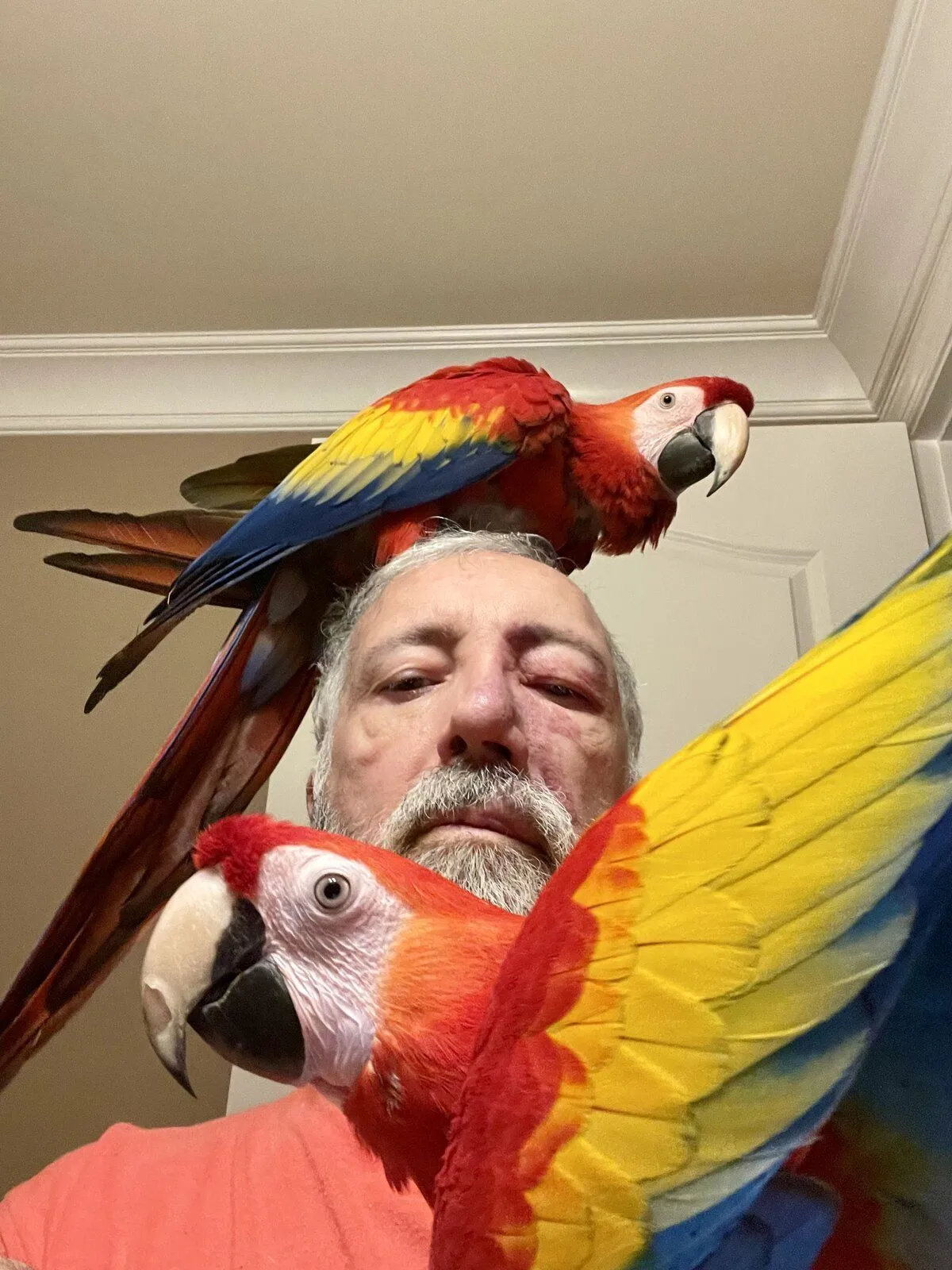 Scottie & Louie with their “Mac Daddy” 1