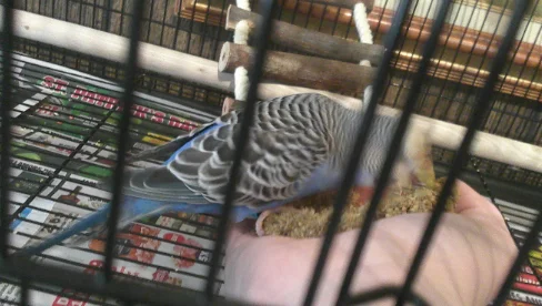 Screenshot 2025-03-18 1.46.00 PM.webp