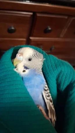 Screenshot 2025-11-27 12.02.52 PM.webp