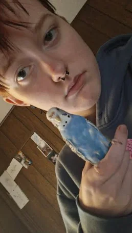 Screenshot 2025-11-29 7.15.45 PM.webp