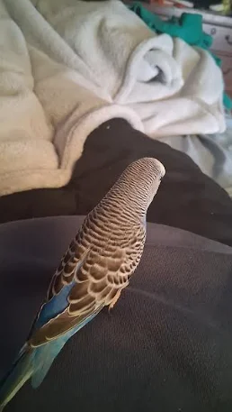 Screenshot 2025-11-29 7.15.50 PM.webp