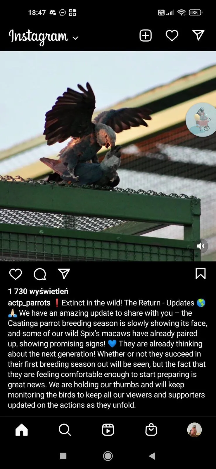 Screenshot_2022-09-27-18-47-31-543_com.instagram.android.webp