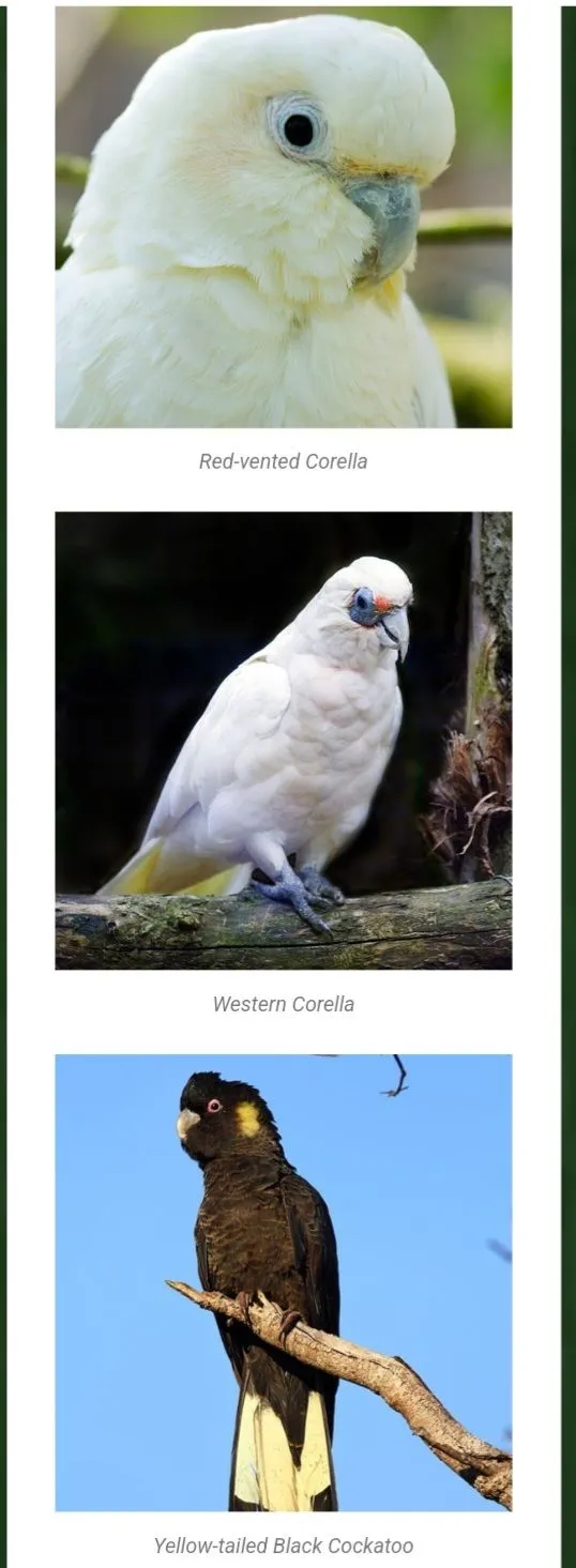 Screenshot_20240106-173013_Samsung Internet.webp