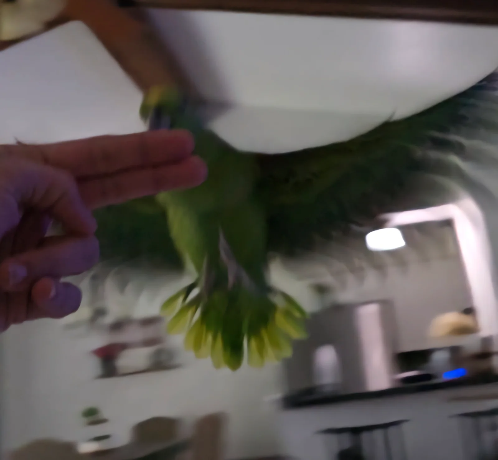 Screenshot_20250419_103742_Gallery.webp