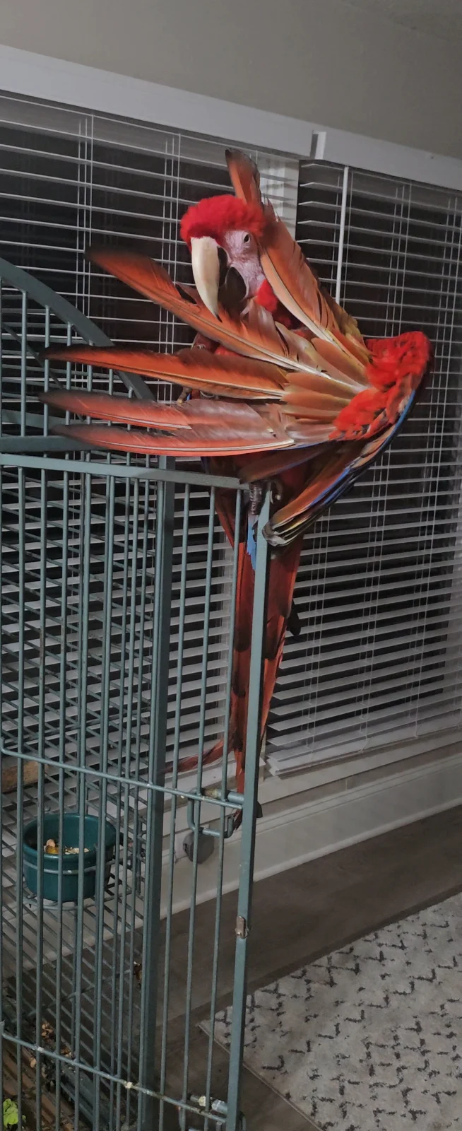 Screenshot_20250824_213746_Photos.webp