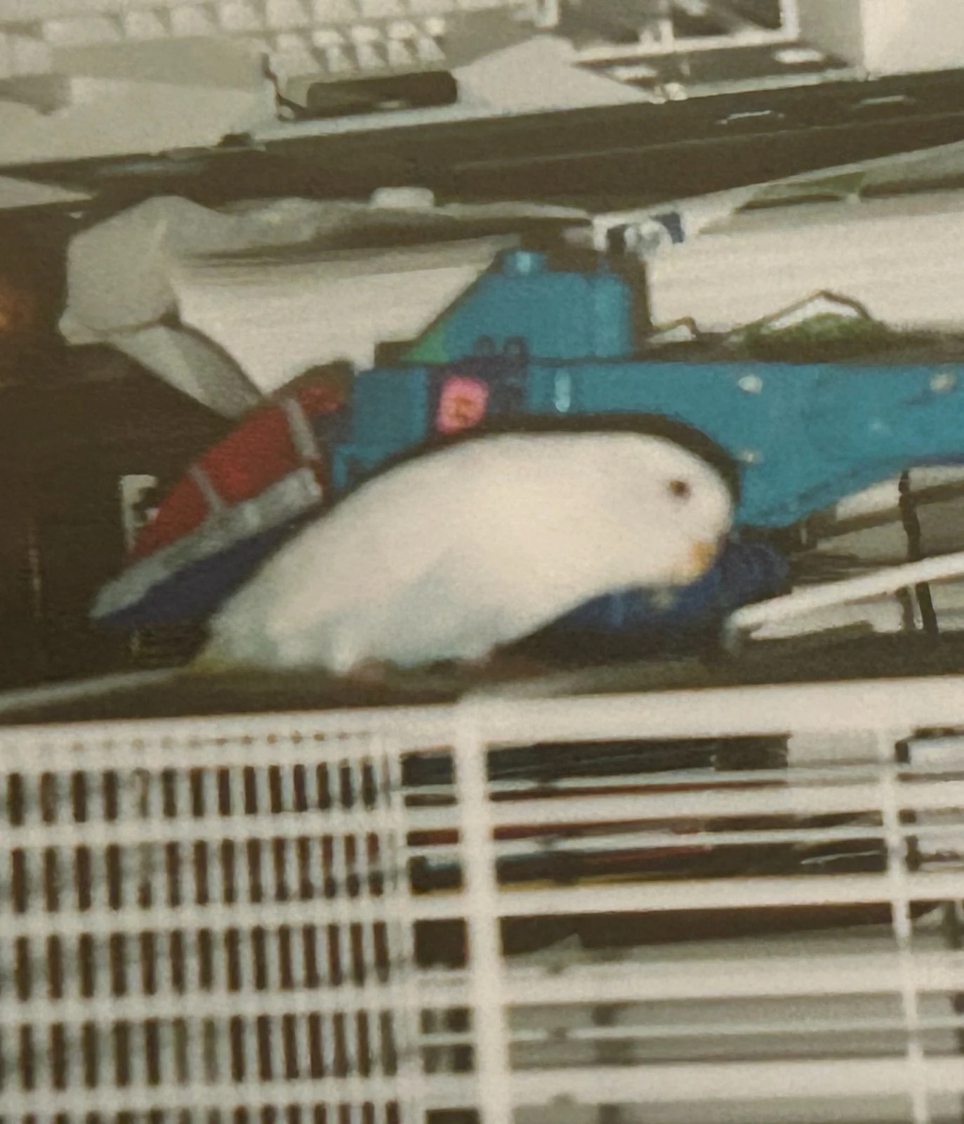 Shrayle circa 2000.webp
