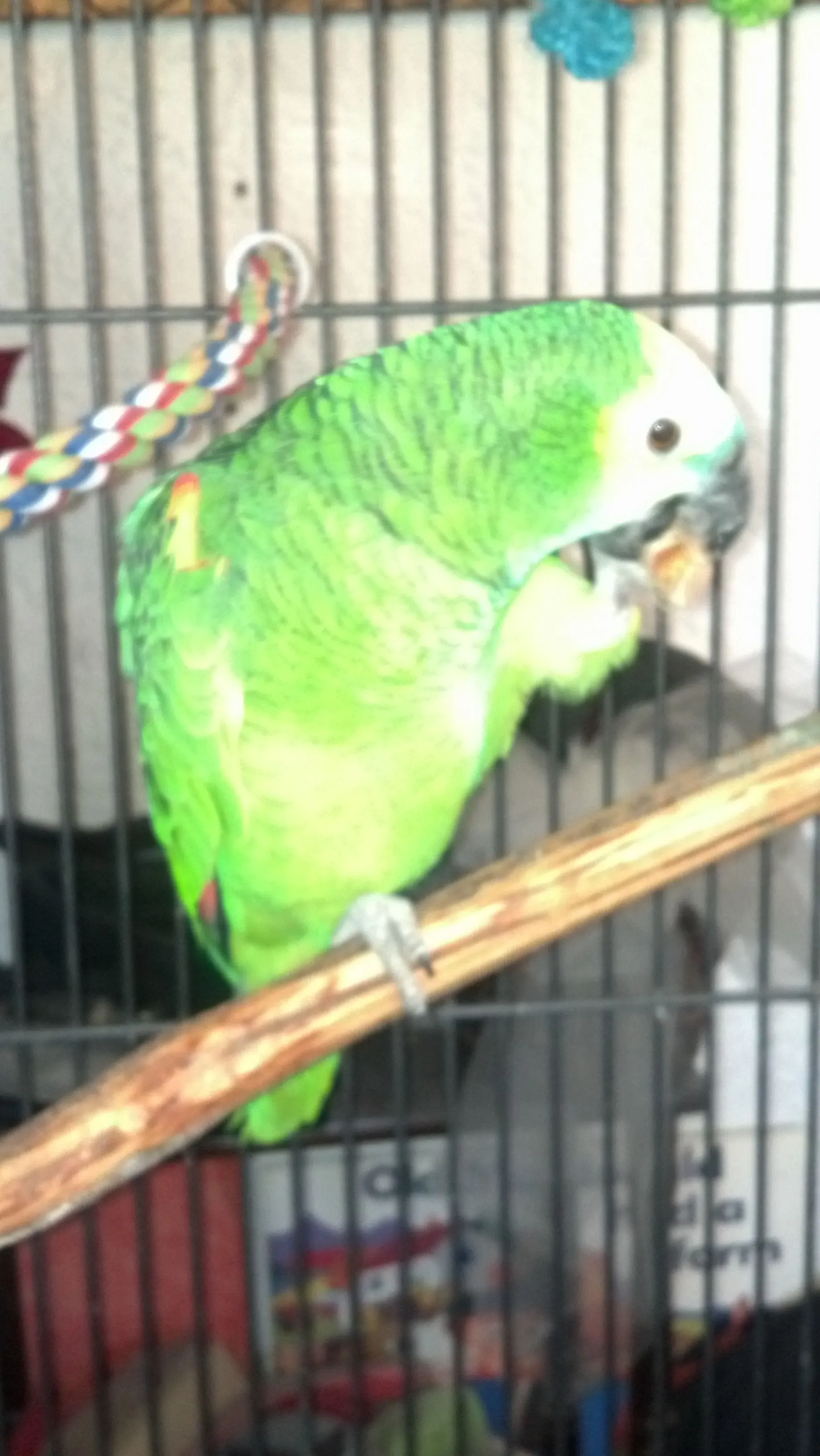 Skittles On Peanut Patrol #2