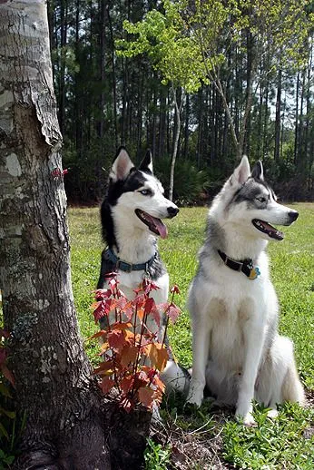 Skylar And Kira