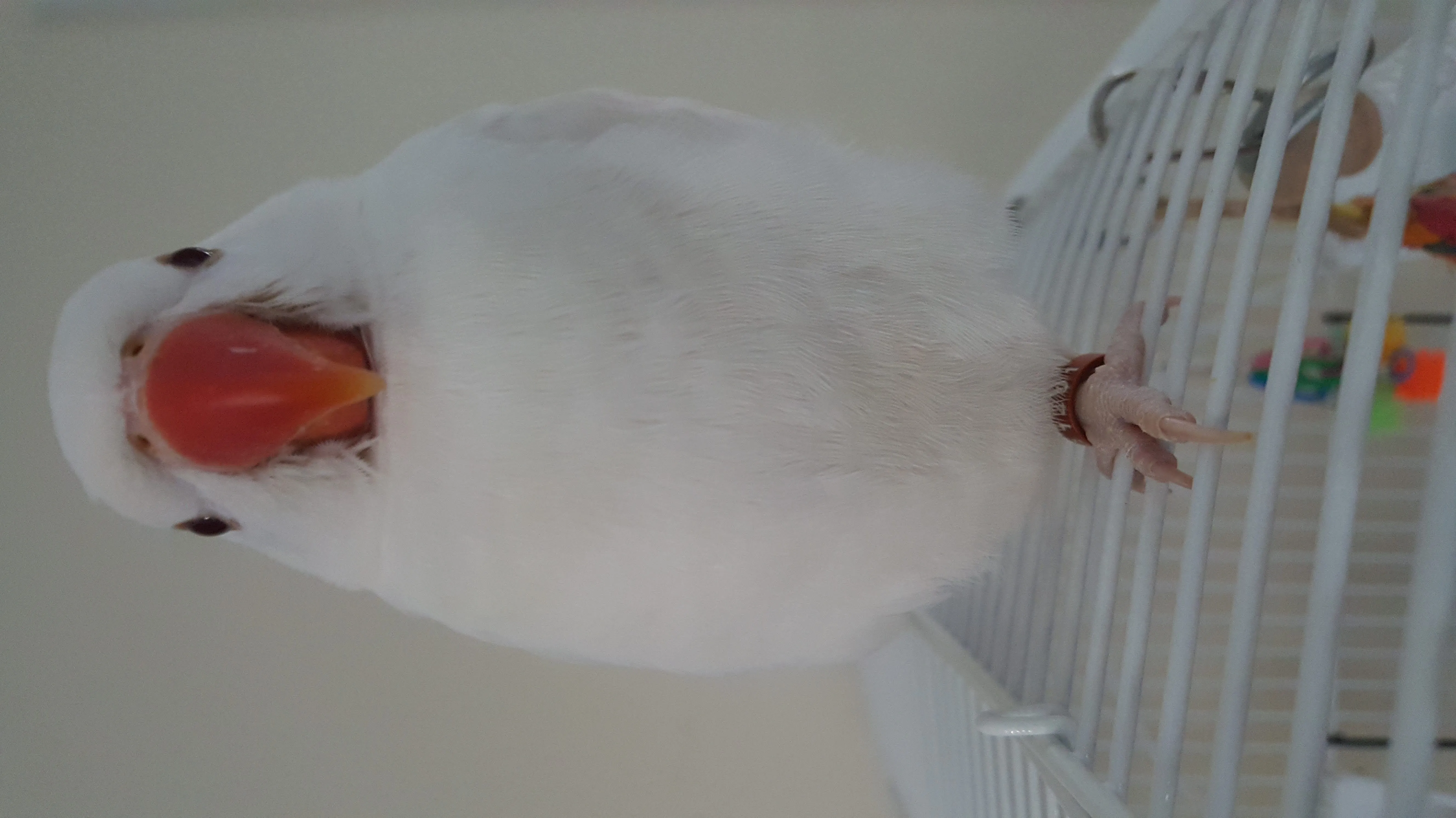 Some Photos Of Tali!