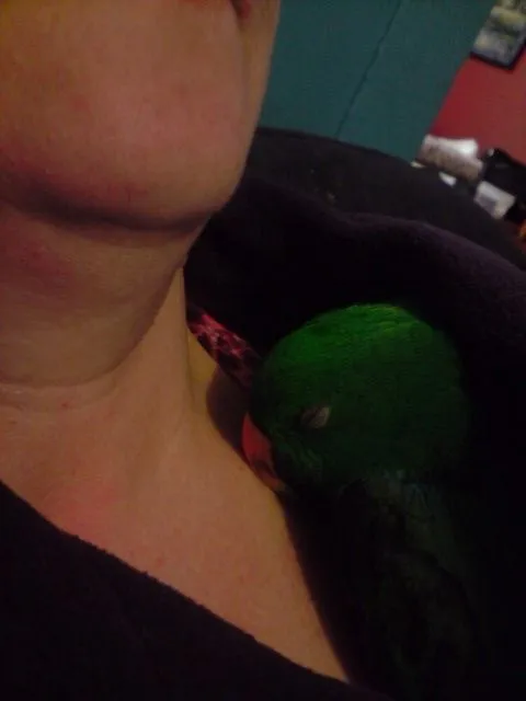 Staying Warm Inside My Mums Jacket