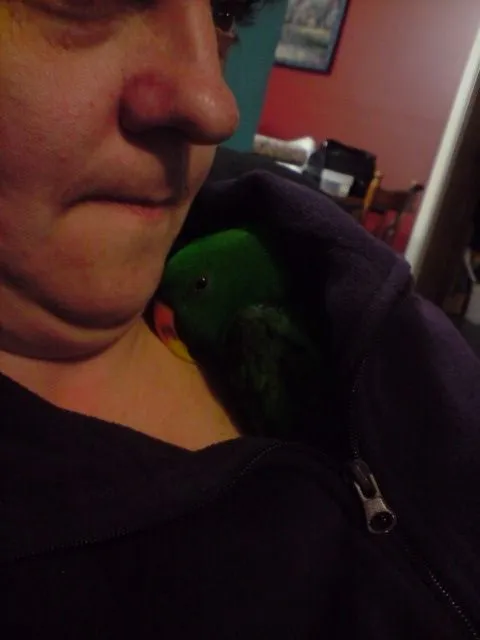 Staying Warm Inside My Mums Jacket