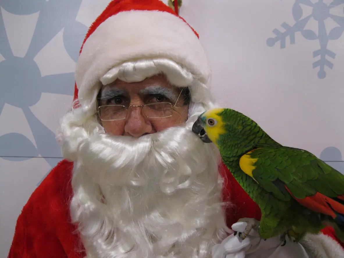 Sydney 2012-12-15 006.webp