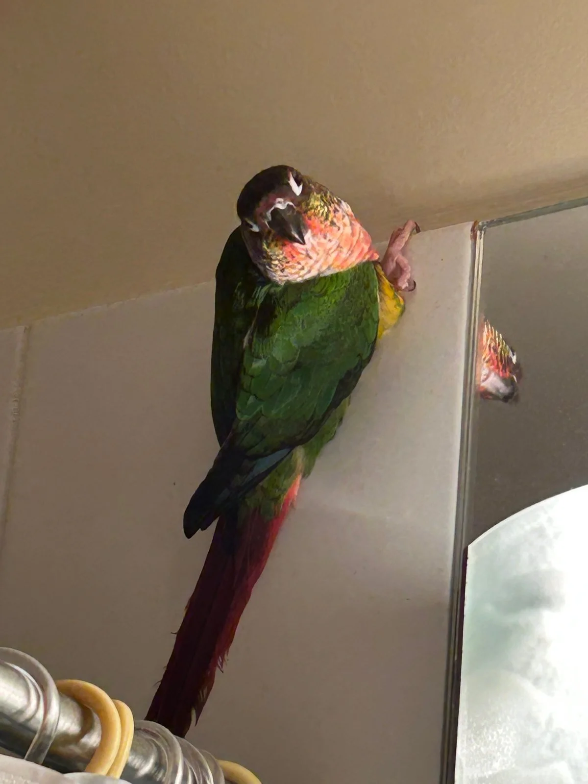 Tailgate beside mirror_Dec_3_2025.webp