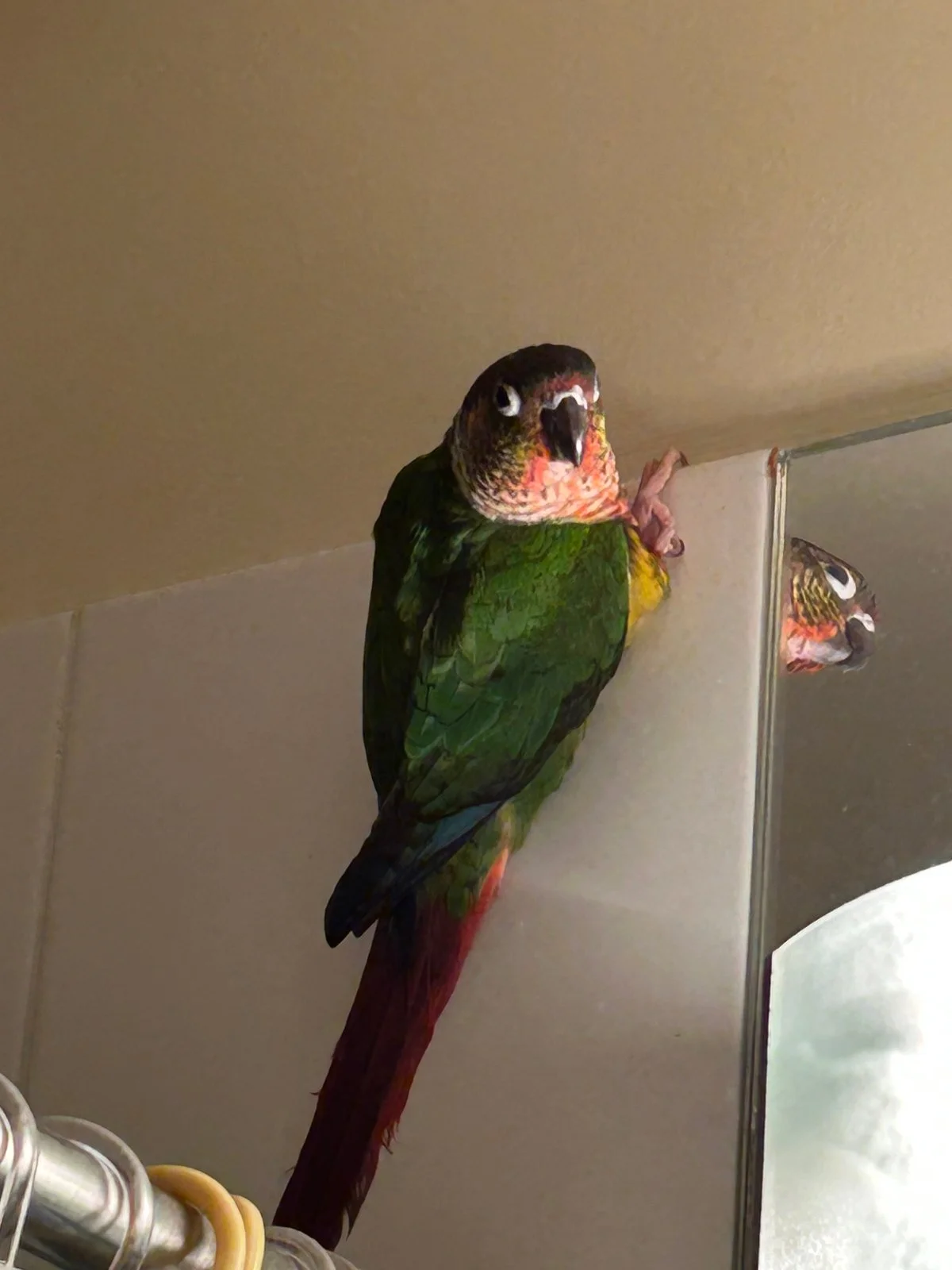 Tailgate beside mirror_Good_Dec 3 2025.webp