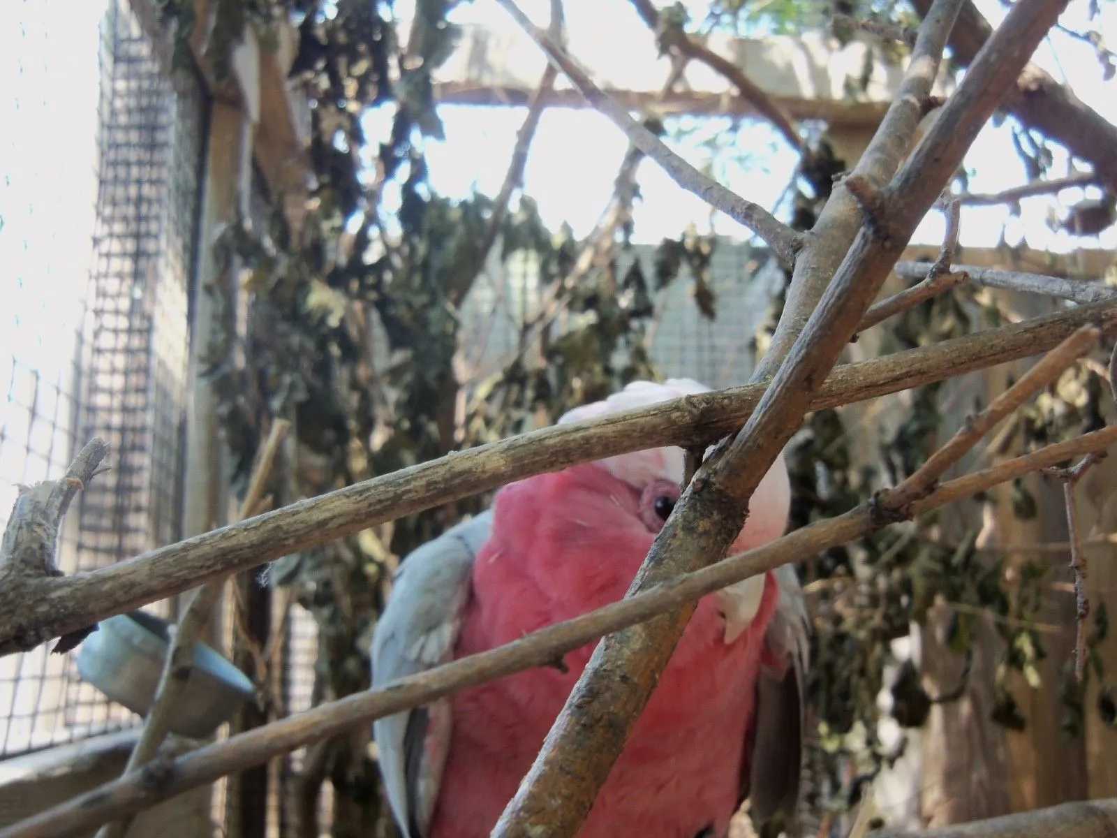 Take A Look Through My Eyes