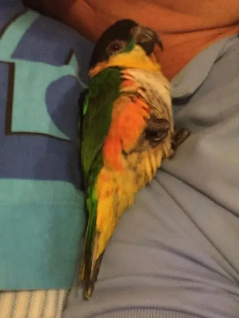 Taking a nap with me