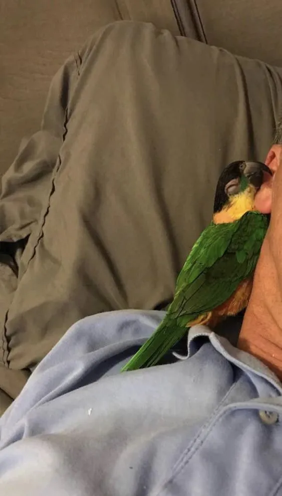 Taking a nap with me