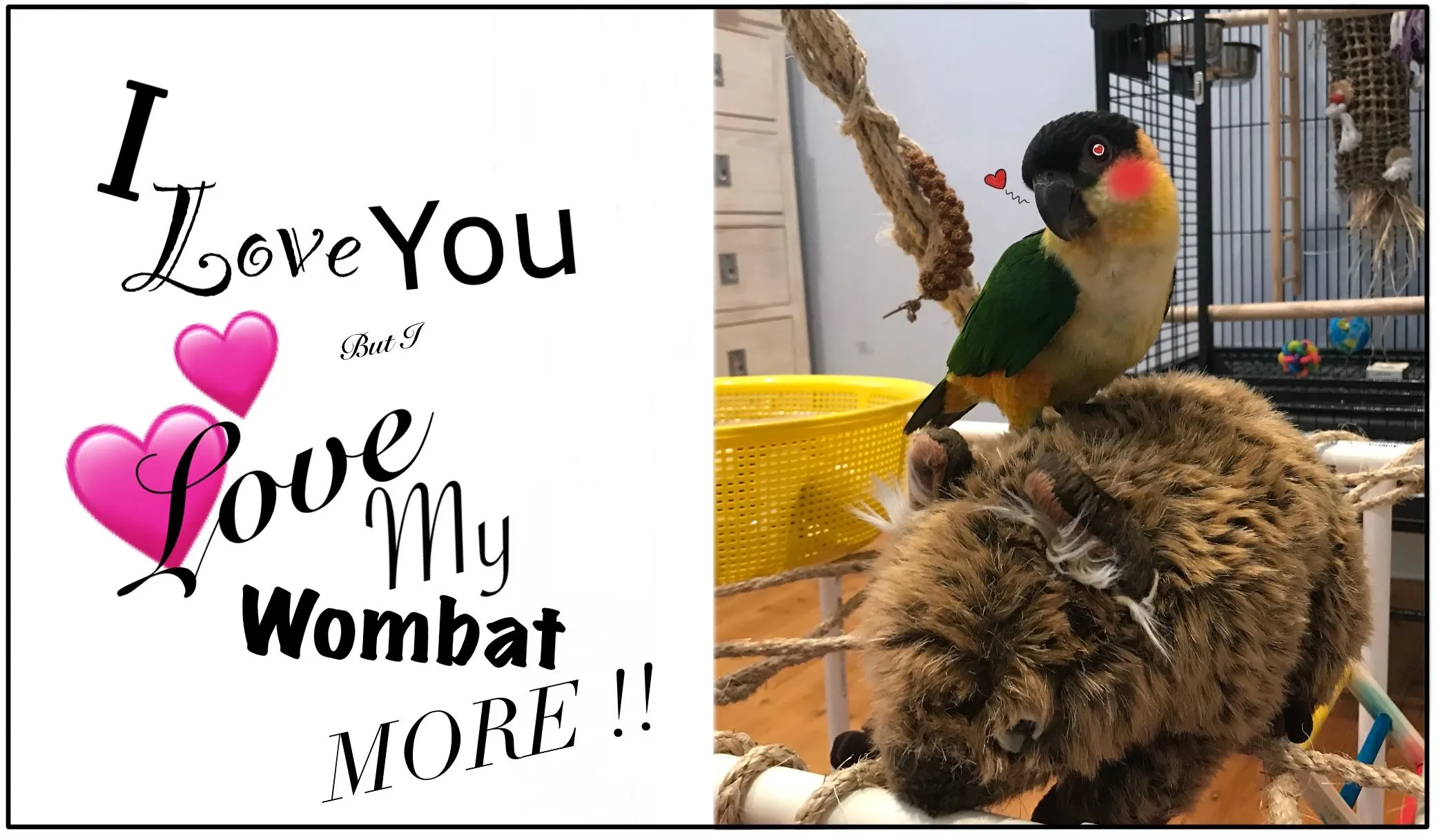 The Unorthodox Relationship