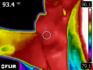 Thermal, Right Edge Under Wing