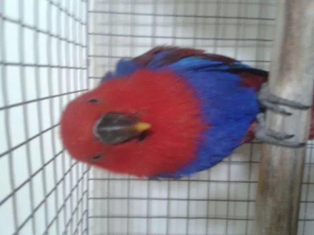 This Morning, After Breakfast :)