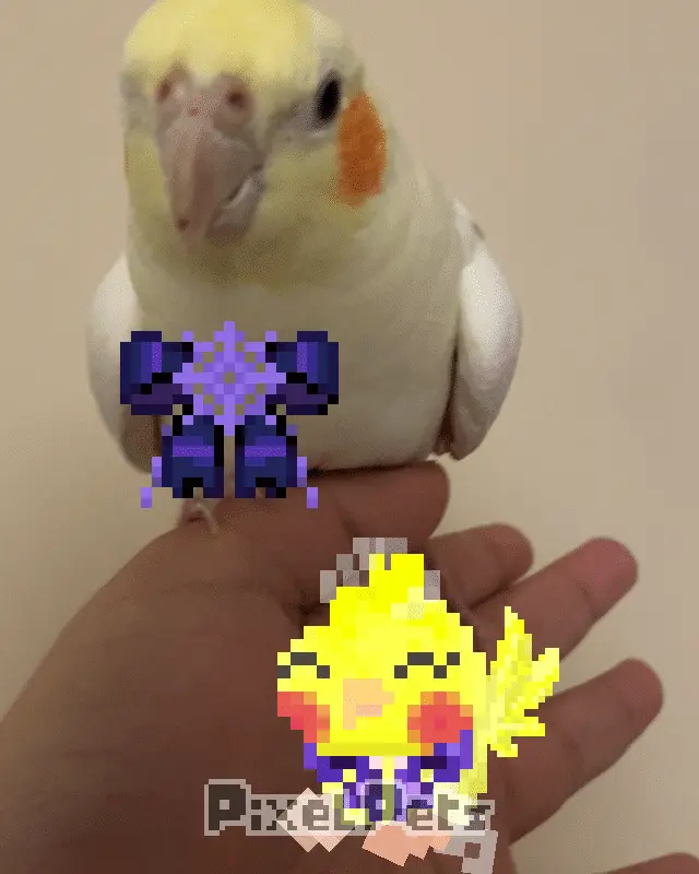 Tiki with pixel Tiki