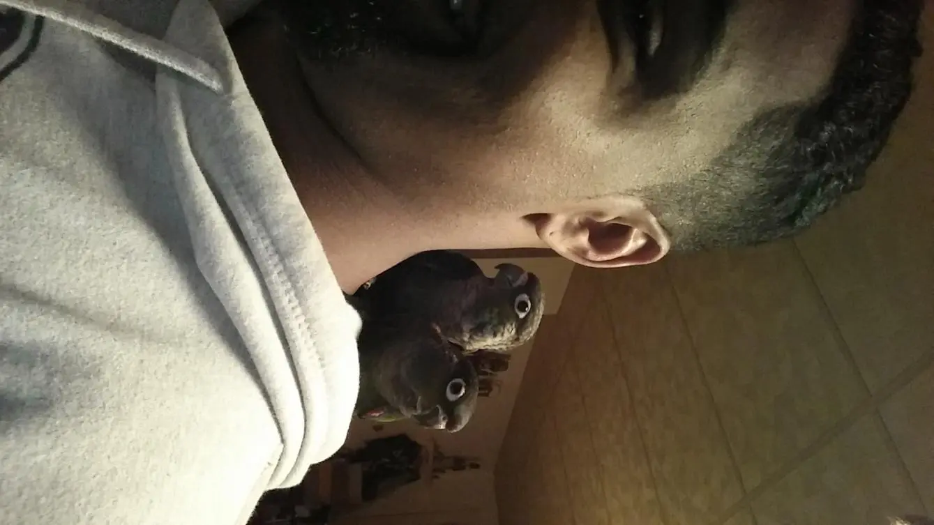 uploadfromtaptalk1424222958500.webp