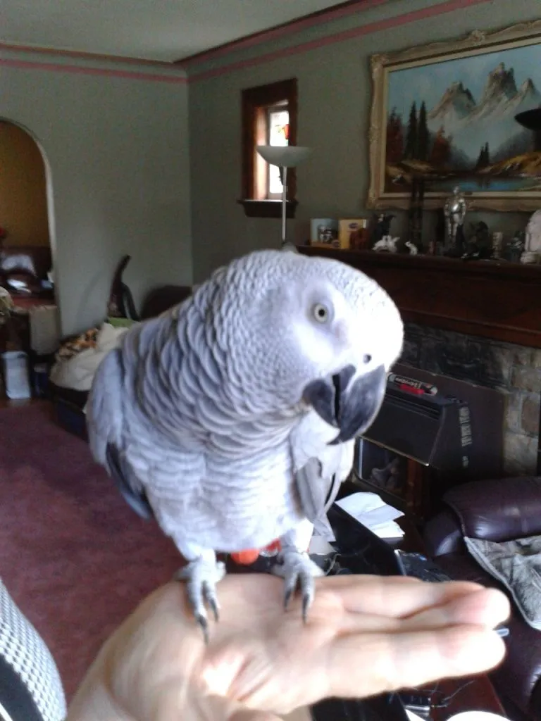 Very Quiet And Taciturn