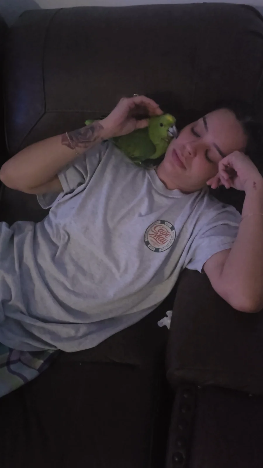 VideoCapture_20250423-204057.webp