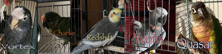 Vortex Charlie Redshift Yvons Quasar Banner Small.webp