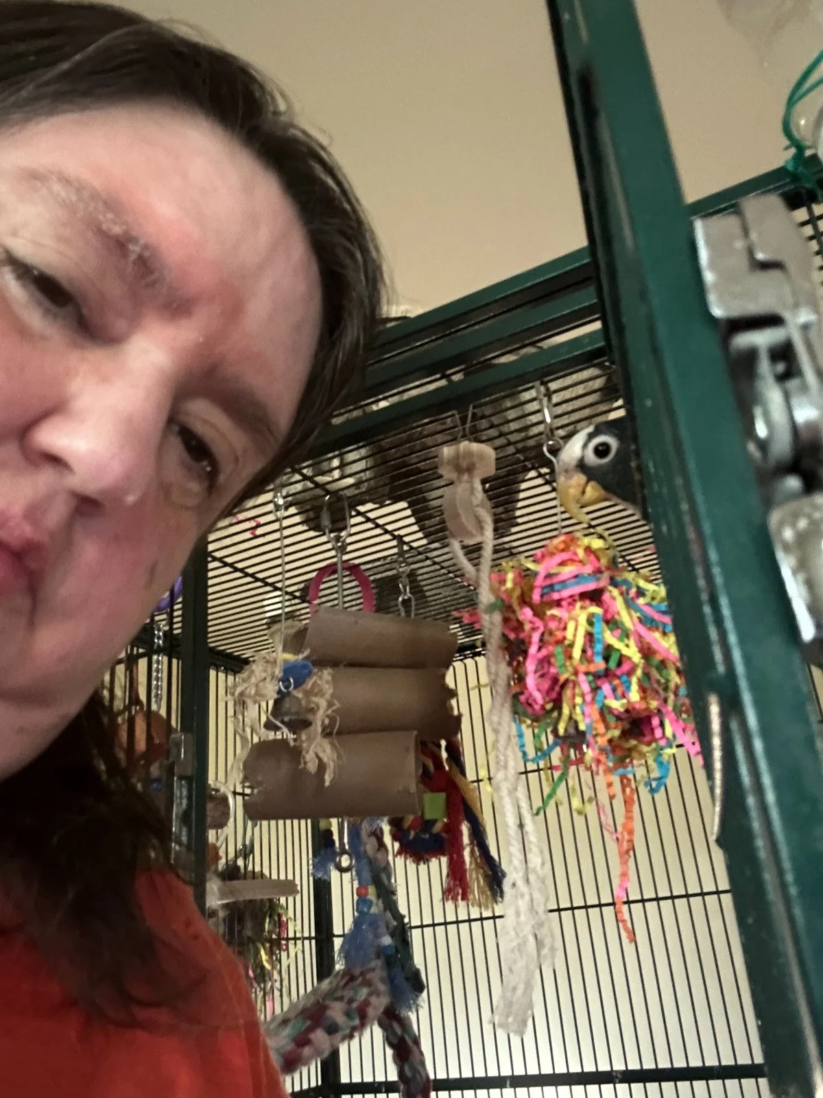 Vortex peek with NL beside cage.webp