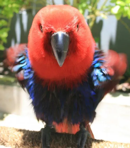 What Ya'll Lookin At?
