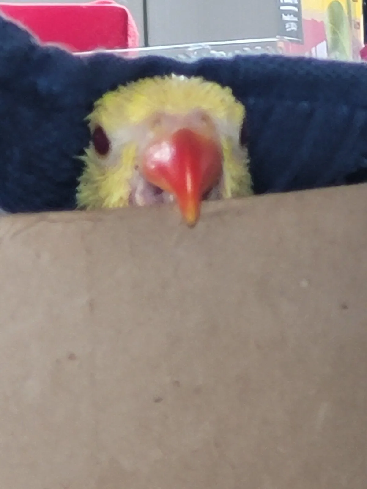 What's going on Mum?