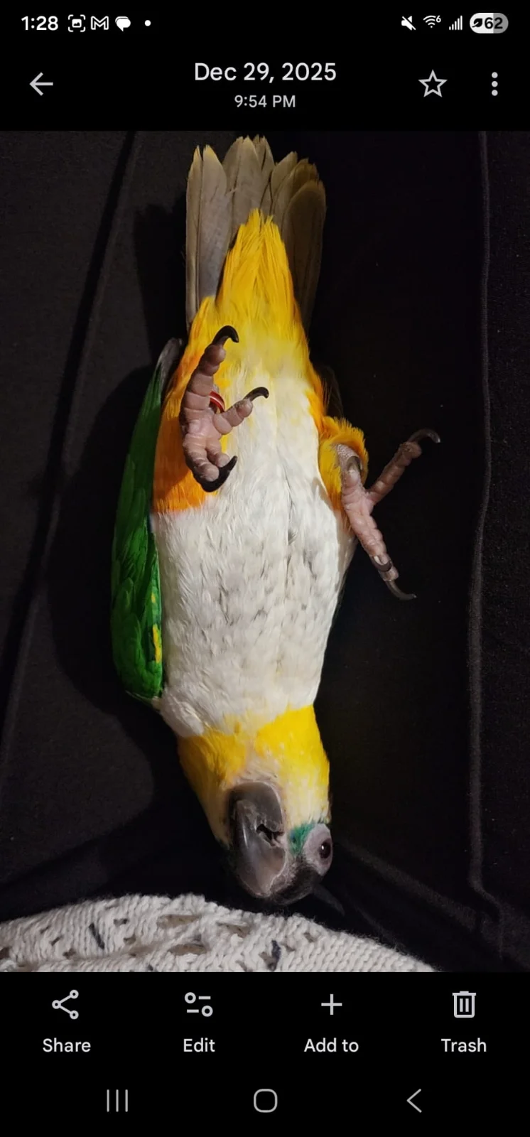 WhatsApp Image 2026-01-07 at 1.29.57 PM.webp