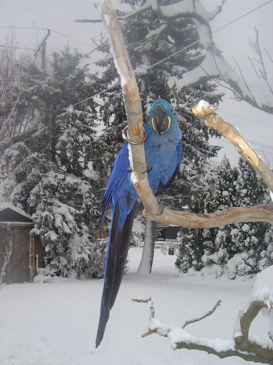 Winters Coming!!!!!!!!!!!!!