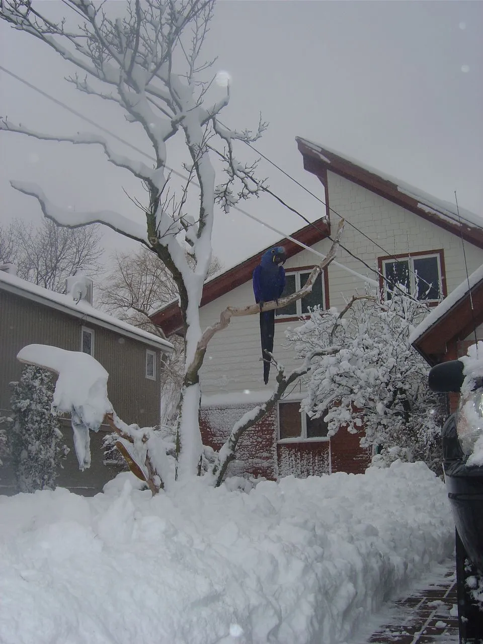 Winters Coming!!!!!!!!!!!!!