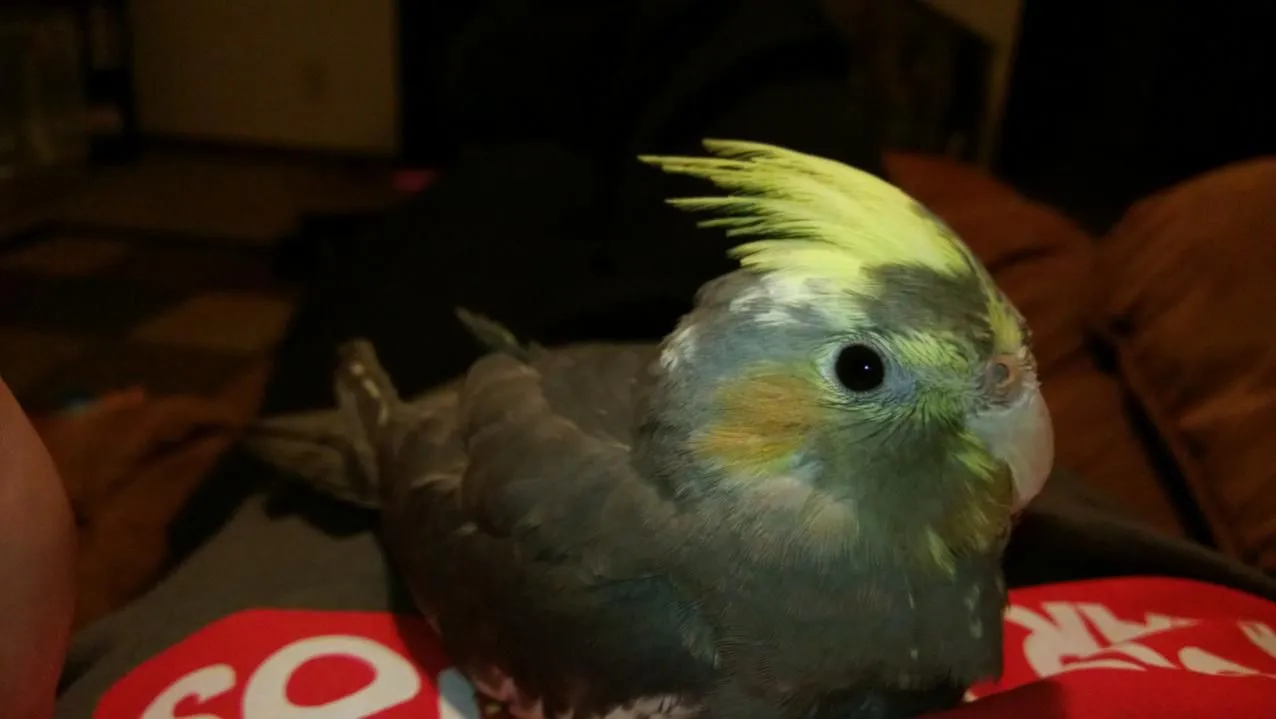 WP_20130217_002.webp