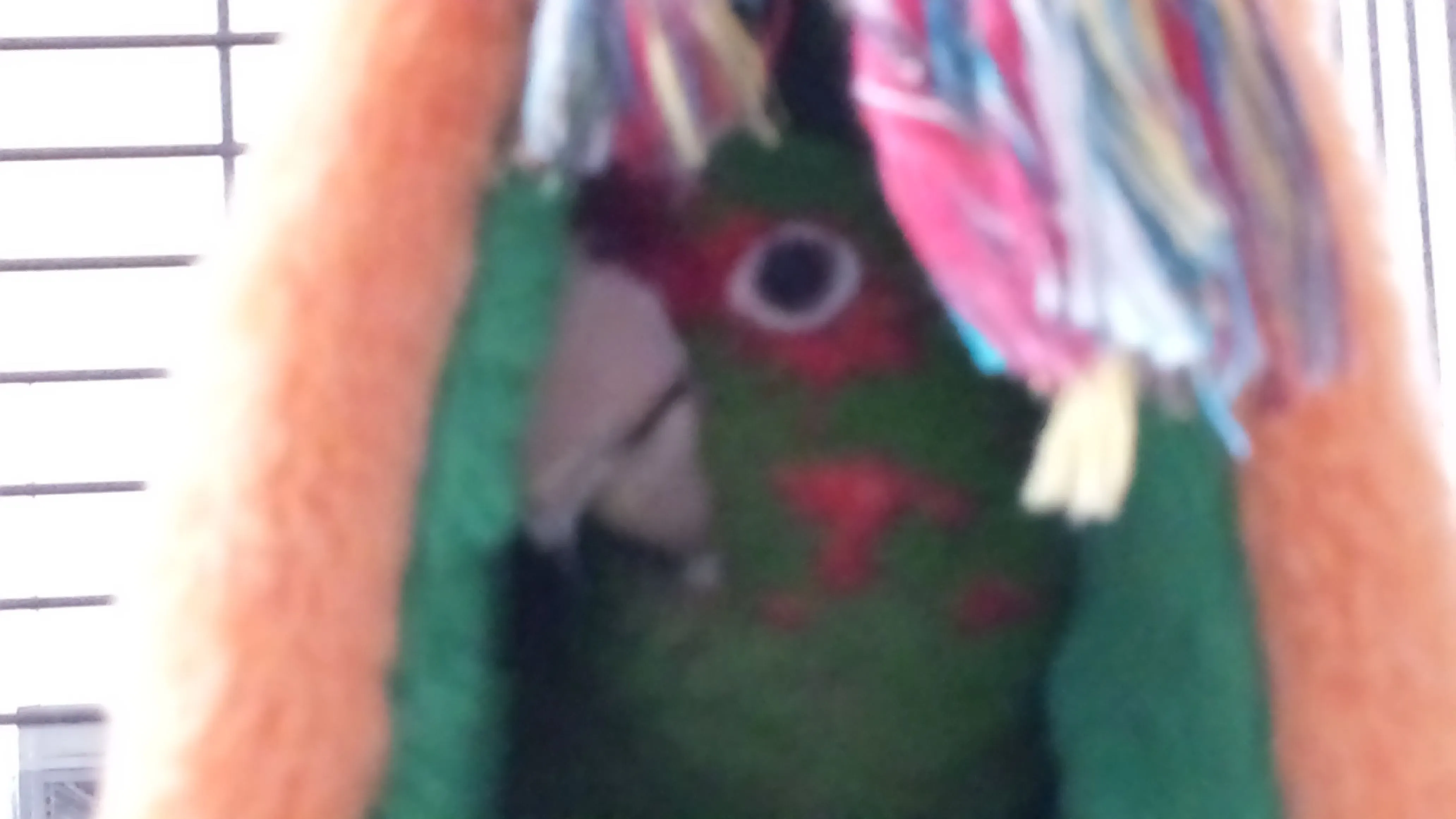 You Can't See Me!!!!!!! Peek A Boo......