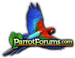 Parrot Forum Logo