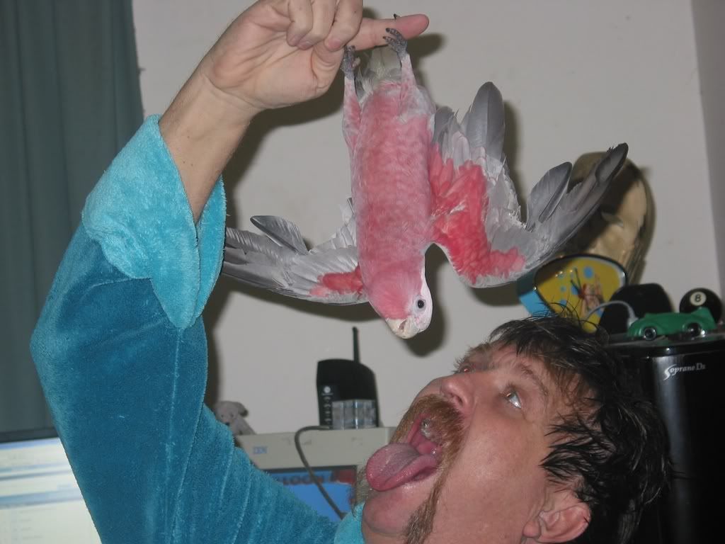 hangeron003.jpg