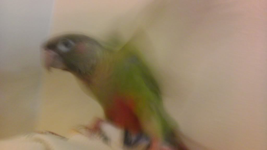 IMAG0463.jpg