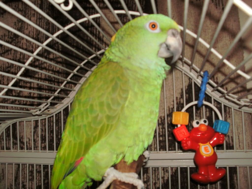 milo013.jpg