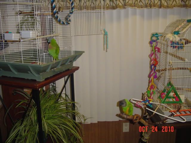 004-1.jpg