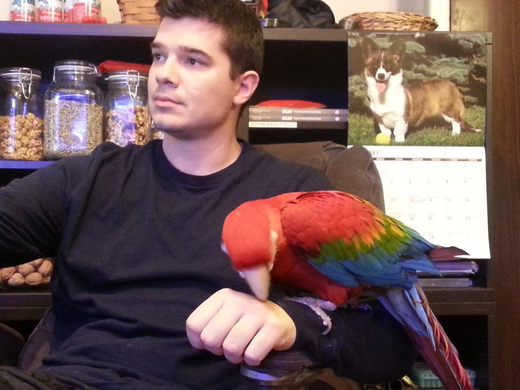 20130212_153227.jpg