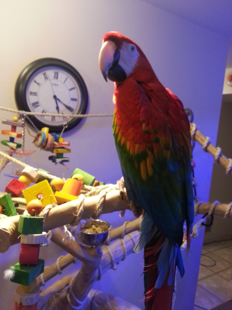 20130212_162047.jpg