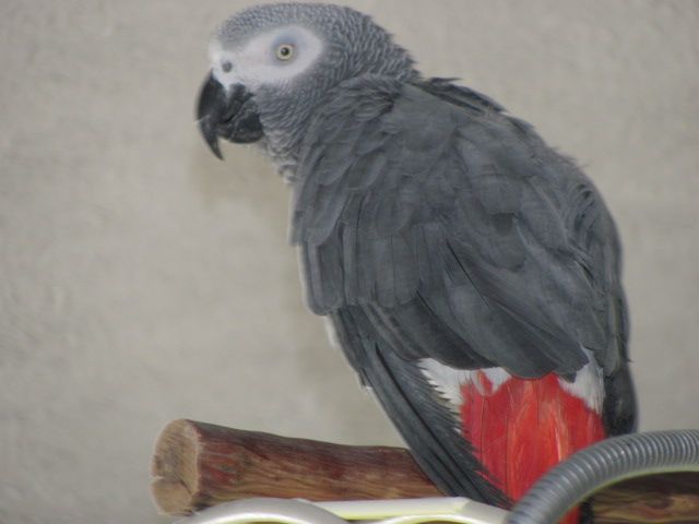 003-21.jpg